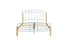 Tetras Bed